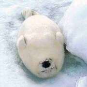 ヒメ日記 2025/06/14 09:17 投稿 伊藤 凛(りん) 東京不倫 渋谷店