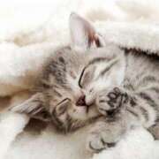 ヒメ日記 2025/06/15 08:17 投稿 伊藤 凛(りん) 東京不倫 渋谷店