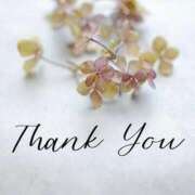 ヒメ日記 2026/02/12 09:37 投稿 伊藤 凛(りん) 東京不倫 渋谷店