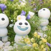 ヒメ日記 2025/03/17 17:22 投稿 しずく Hip's-group越谷本店