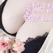 ヒメ日記 2025/03/31 08:32 投稿 しずく Hip's-group越谷本店