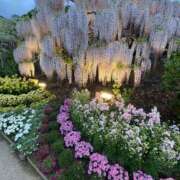 ヒメ日記 2025/04/01 22:22 投稿 しずく Hip's-group越谷本店