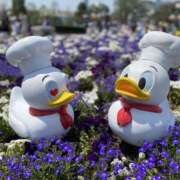 ヒメ日記 2025/05/25 19:32 投稿 しずく Hip's-group越谷本店