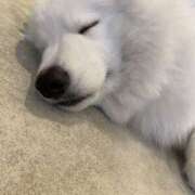 ヒメ日記 2025/06/09 19:32 投稿 しずく Hip's-group越谷本店