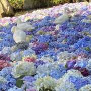 ヒメ日記 2025/06/11 15:03 投稿 しずく Hip's-group越谷本店