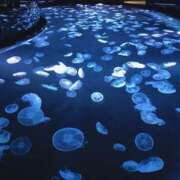 ヒメ日記 2025/06/16 19:12 投稿 しずく Hip's-group越谷本店