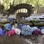 ヒメ日記 2025/06/18 18:32 投稿 しずく Hip's-group越谷本店