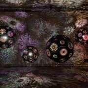 ヒメ日記 2025/07/30 08:52 投稿 しずく Hip's-group越谷本店