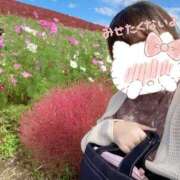 ヒメ日記 2025/09/24 16:12 投稿 しずく Hip's-group越谷本店