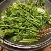 ヒメ日記 2026/02/12 18:42 投稿 しずく Hip's-group越谷本店