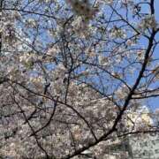 ヒメ日記 2026/03/29 16:32 投稿 しずく Hip's-group越谷本店