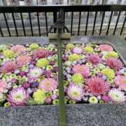 しずく 仕方ないよね… Hip's-group越谷本店