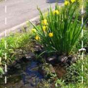 ヒメ日記 2025/05/14 10:48 投稿 あずさ 完熟ばなな 横浜