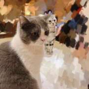 ヒメ日記 2025/06/24 19:00 投稿 あすか 錦糸町人妻セレブリティ（ユメオト）