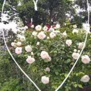 ヒメ日記 2025/05/08 17:30 投稿 あずさ 完熟ばなな川崎