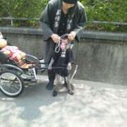 ヒメ日記 2025/05/31 09:02 投稿 あずさ 完熟ばなな川崎