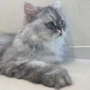 ヒメ日記 2025/05/13 09:35 投稿 すみれ Sabbat(サバト)