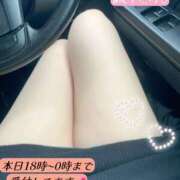 ヒメ日記 2025/06/03 17:45 投稿 めぐ DOLCE