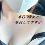 ヒメ日記 2025/07/30 19:12 投稿 めぐ DOLCE