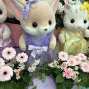 ヒメ日記 2025/03/18 15:27 投稿 ましろ リッチドールフェミニン