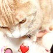 ヒメ日記 2025/03/20 14:17 投稿 ましろ リッチドールフェミニン