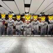 ヒメ日記 2025/03/22 13:41 投稿 ましろ リッチドールフェミニン