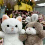 ヒメ日記 2025/03/24 21:07 投稿 ましろ リッチドールフェミニン