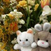 ヒメ日記 2025/03/25 21:17 投稿 ましろ リッチドールフェミニン