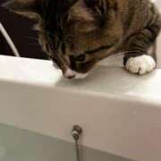 ヒメ日記 2025/03/25 22:27 投稿 ましろ リッチドールフェミニン