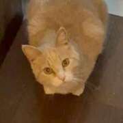 ヒメ日記 2025/03/26 23:07 投稿 ましろ リッチドールフェミニン