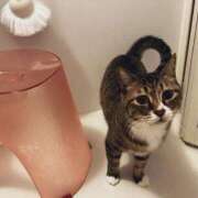 ヒメ日記 2025/03/27 21:27 投稿 ましろ リッチドールフェミニン