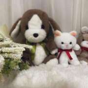 ヒメ日記 2025/03/31 18:37 投稿 ましろ リッチドールフェミニン