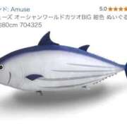 ヒメ日記 2025/04/18 00:07 投稿 ましろ リッチドールフェミニン