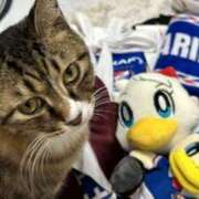 ヒメ日記 2025/04/28 23:57 投稿 ましろ リッチドールフェミニン