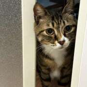 ヒメ日記 2025/05/01 00:37 投稿 ましろ リッチドールフェミニン