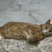 ヒメ日記 2025/05/01 09:07 投稿 ましろ リッチドールフェミニン