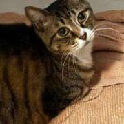 ヒメ日記 2025/05/04 22:27 投稿 ましろ リッチドールフェミニン