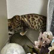 ヒメ日記 2025/05/15 11:47 投稿 ましろ リッチドールフェミニン