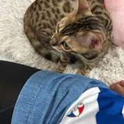 ヒメ日記 2025/05/18 23:57 投稿 ましろ リッチドールフェミニン