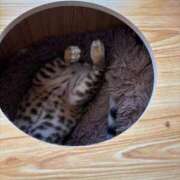 ヒメ日記 2025/05/21 10:47 投稿 ましろ リッチドールフェミニン