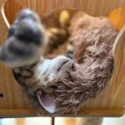 ヒメ日記 2025/05/21 23:57 投稿 ましろ リッチドールフェミニン