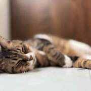 ヒメ日記 2025/05/23 08:07 投稿 ましろ リッチドールフェミニン