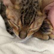 ヒメ日記 2025/05/27 21:27 投稿 ましろ リッチドールフェミニン