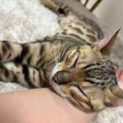 ヒメ日記 2025/06/02 00:07 投稿 ましろ リッチドールフェミニン