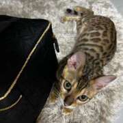 ヒメ日記 2025/06/04 01:37 投稿 ましろ リッチドールフェミニン