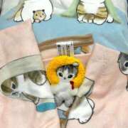 ヒメ日記 2025/06/07 21:47 投稿 ましろ リッチドールフェミニン