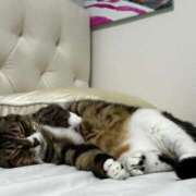 ヒメ日記 2025/06/08 08:27 投稿 ましろ リッチドールフェミニン