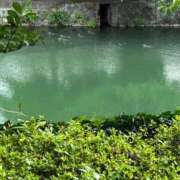 ヒメ日記 2025/06/11 00:17 投稿 ましろ リッチドールフェミニン