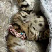 ヒメ日記 2025/06/16 13:57 投稿 ましろ リッチドールフェミニン