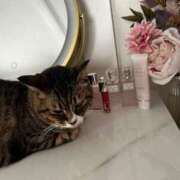 ヒメ日記 2025/06/28 00:07 投稿 ましろ リッチドールフェミニン